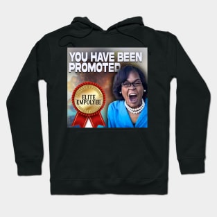 You Have Been Promoted Hoodie